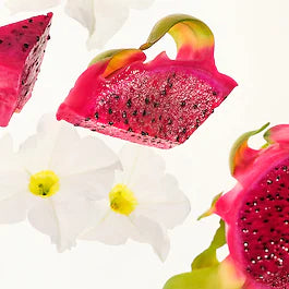 SOL DE JANEIRO Beija Flor Party of Two - Coffret duo