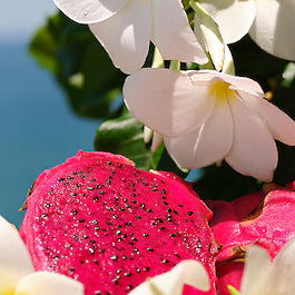 SOL DE JANEIRO Brazilian Crush Cheirosa 68 - Brume Parfumée pour le Corps et les cheveux