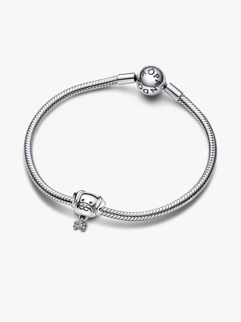 Charm Chien & Os Argent Massif