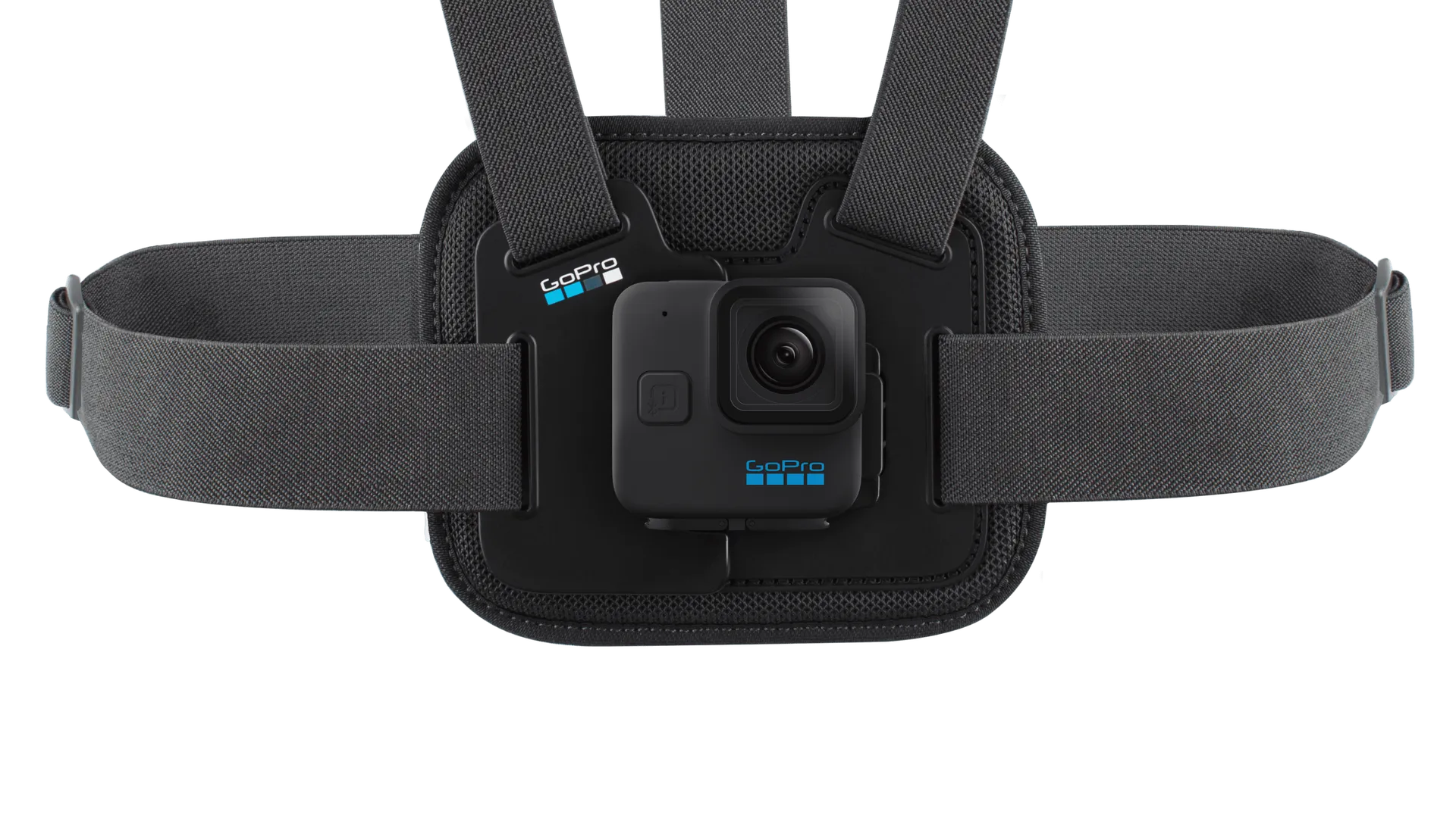 Chesty Fixation de poitrine pour l’action