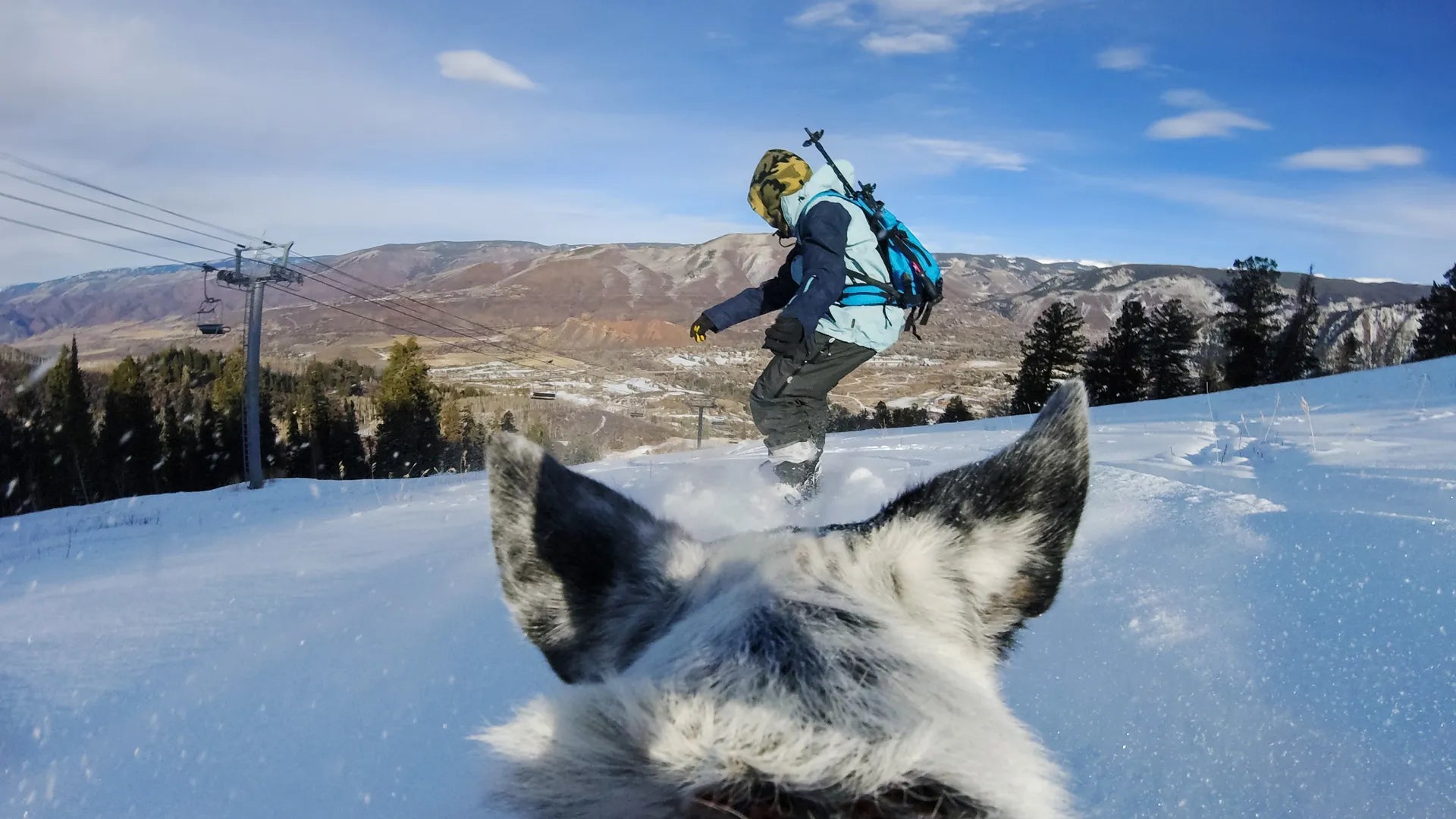 Harnais pour chien Fetch Fixation de caméra PDV (point de vue) pour chien